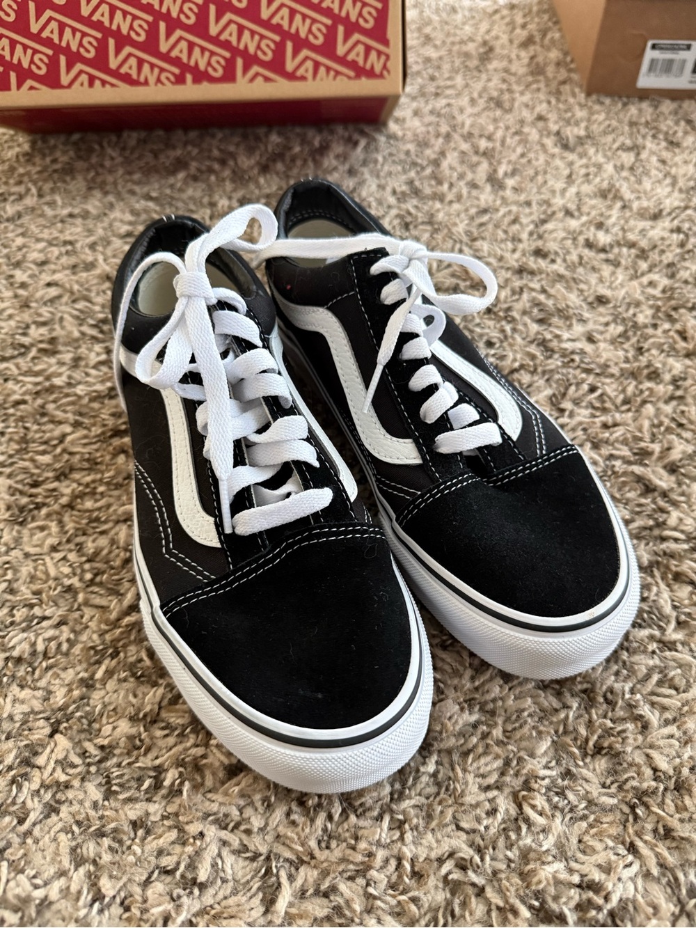 Vans Black and White Low-Top Skate Sneakers